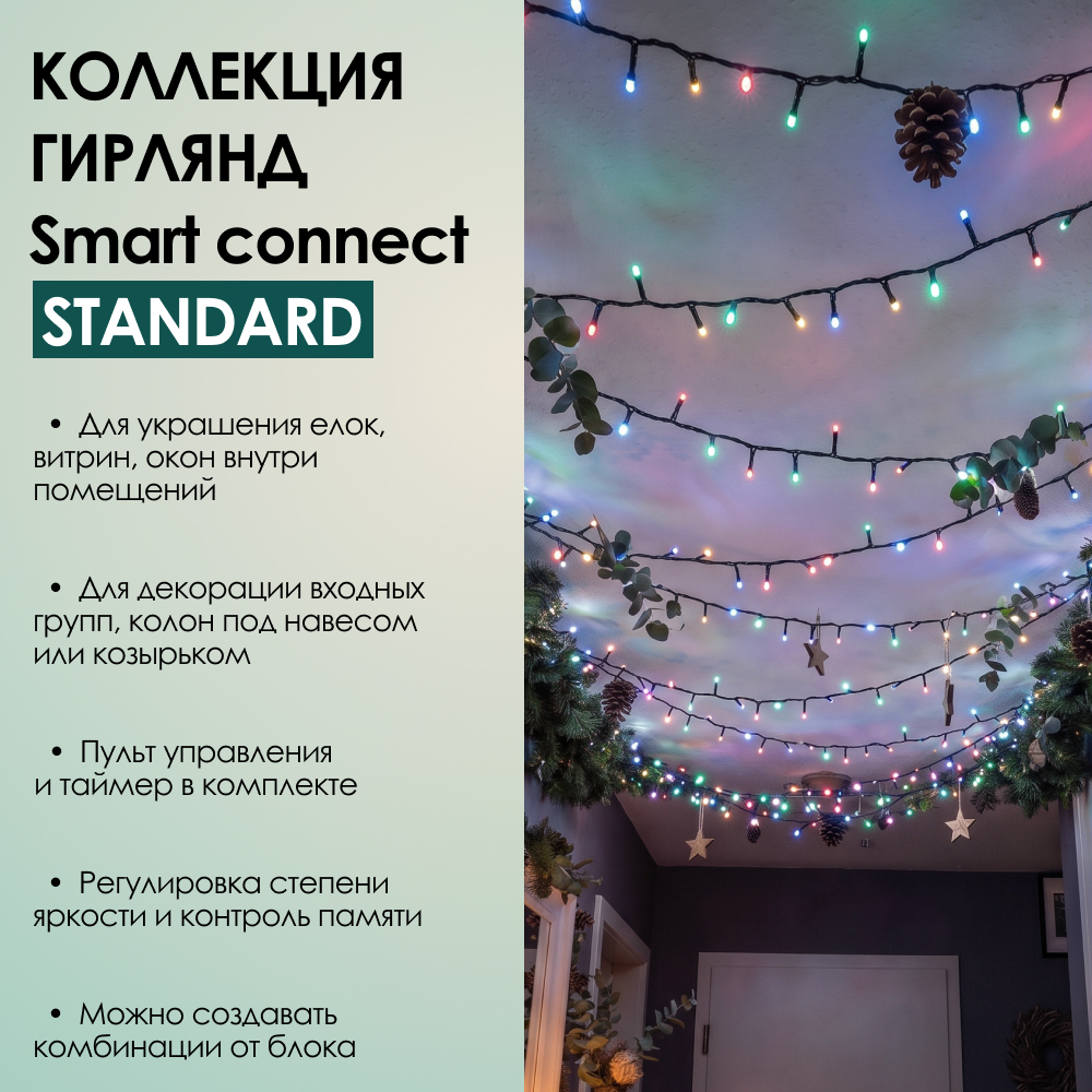 SMART CONNECT STANDARD - мультиколор, зеленый провод