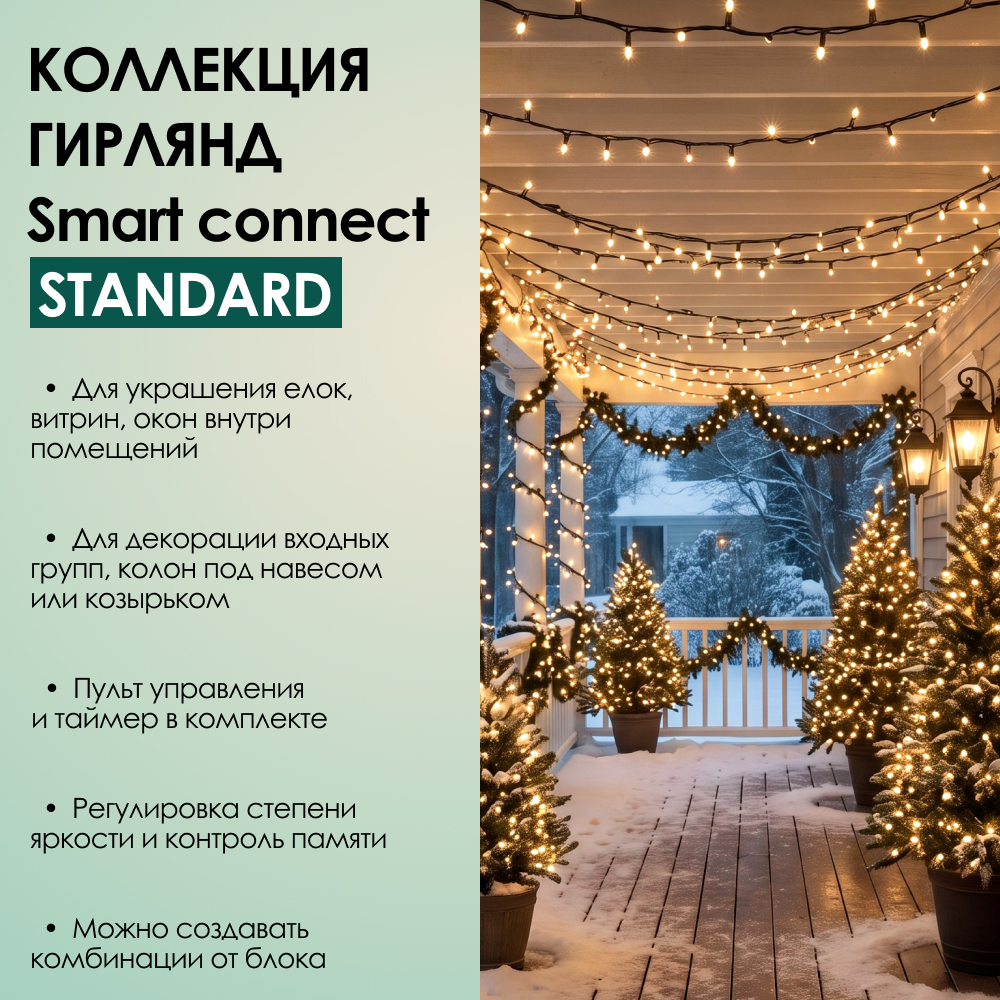 SMART CONNECT STANDARD - теплый свет, черный провод