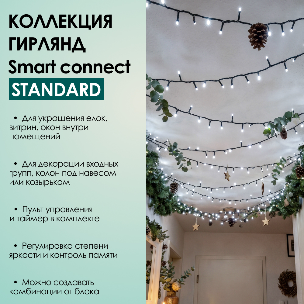 SMART CONNECT STANDARD - холодный свет, черный провод