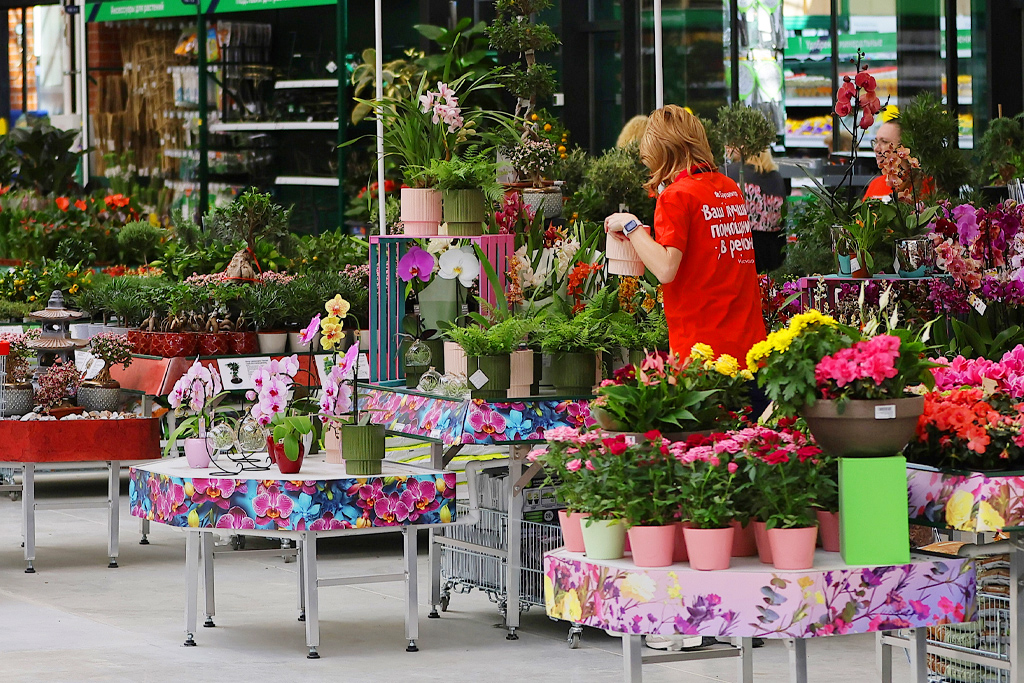 Комнатные растения в новом Бауцентре в Краснодаре
