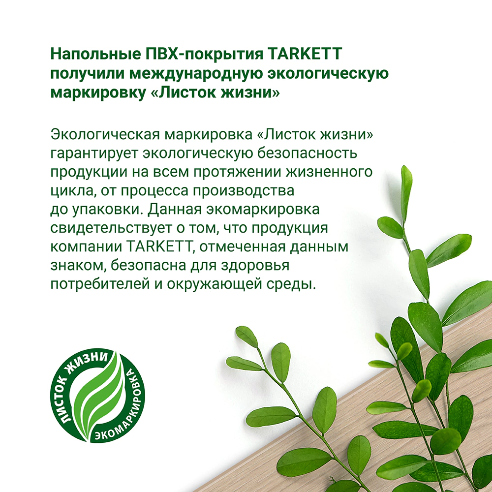 Линолеум Философия Белмонд 5 3 м/3,5 мм/0,4 мм