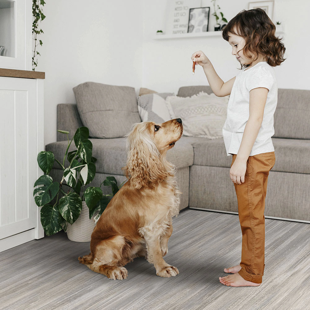 Линолеум Глори Модест 1 4 м/3,1 мм/0,4 мм