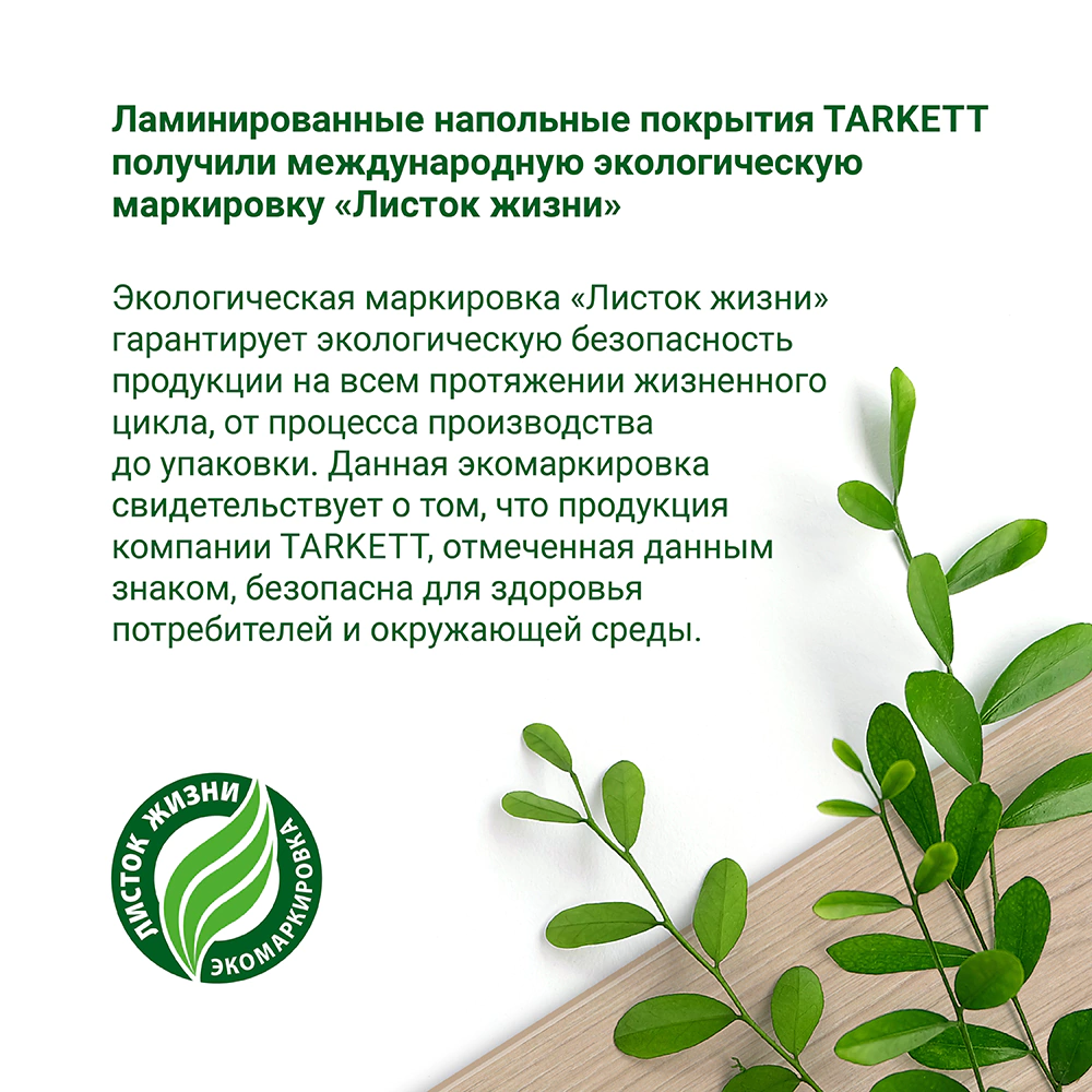 Ламинат TARKETT Navigator Беренг с фаской 12 мм АС5/33 класс 1,253 м2