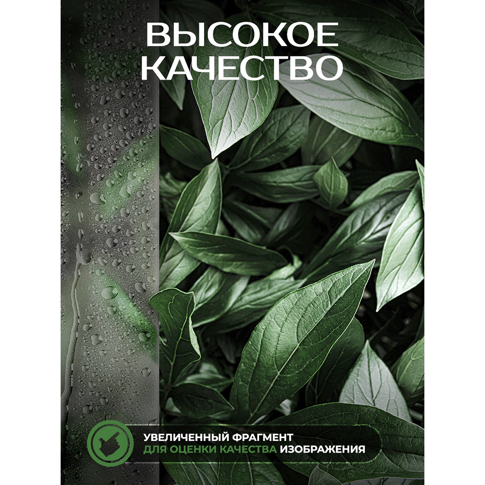 Фотообои флизелиновые Fbrush Листья за стеклом 400х270 см