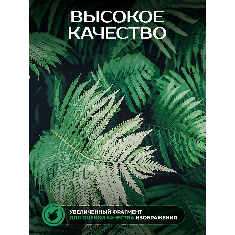 Фотообои флизелиновые Fbrush Папоротники 300х270 см