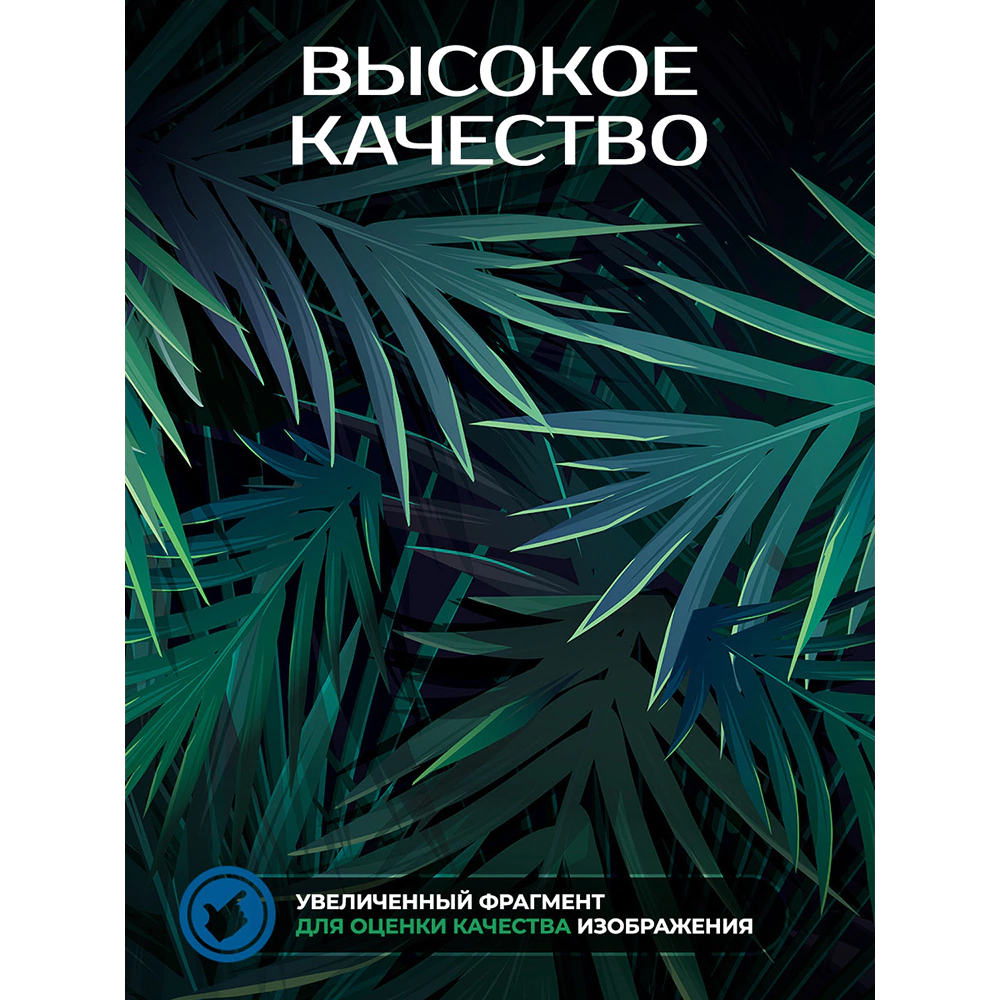 Фотообои флизелиновые Fbrush Ночные папоротники 300х270 см