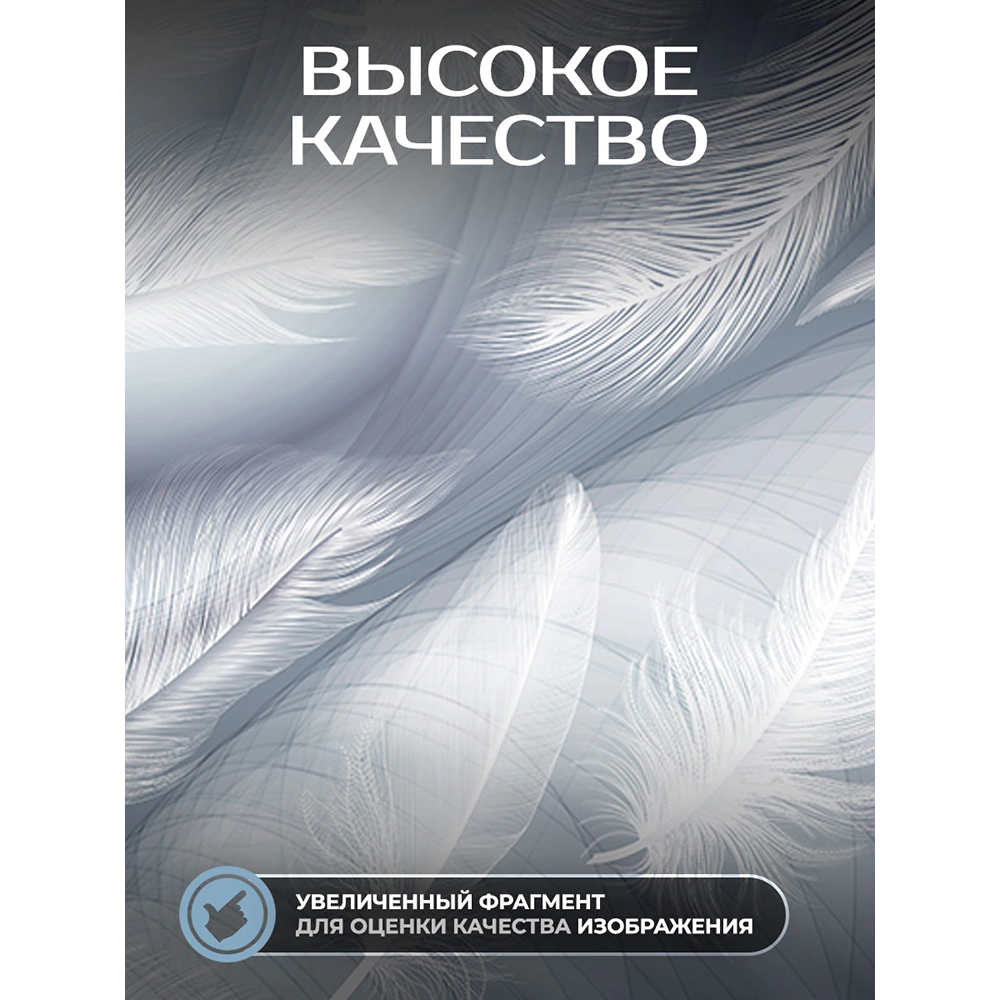 Фотообои флизелиновые Fbrush Белые перья 400х270 см