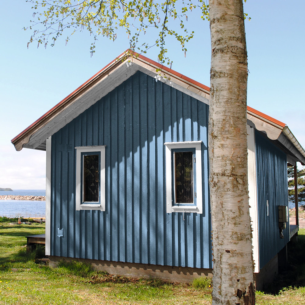 Краска для дерева CAPAROL Holzschutzfarbe Pro 9 л белая (база 1)