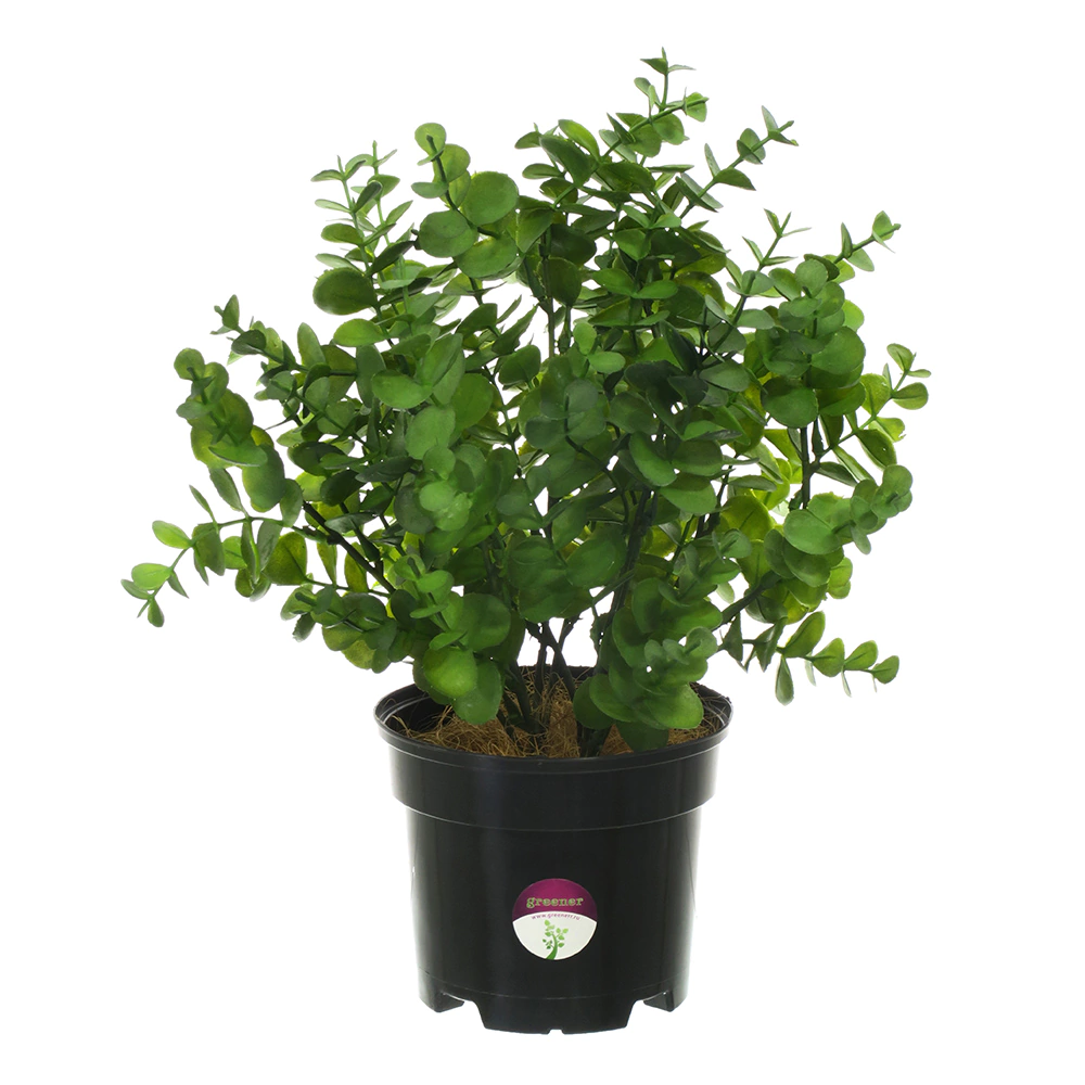 Растение искусственное Эвкалипт Лозанно в кашпо высота микс 30 см