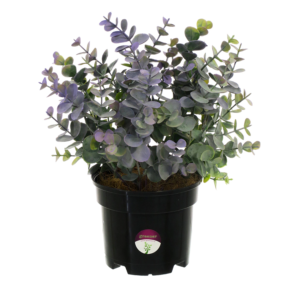 Растение искусственное Эвкалипт Лозанно в кашпо высота микс 30 см