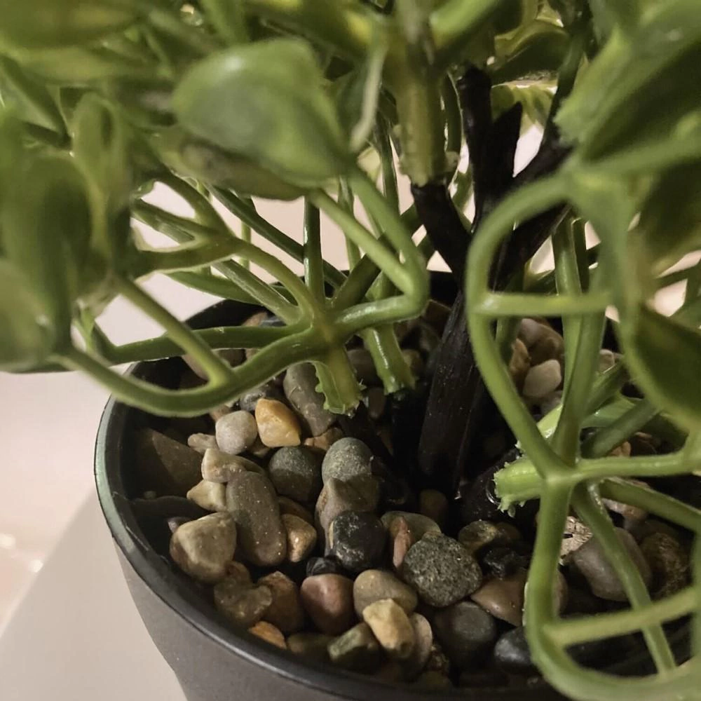 Растение искусственное Чабрец в горшке высота 23 см