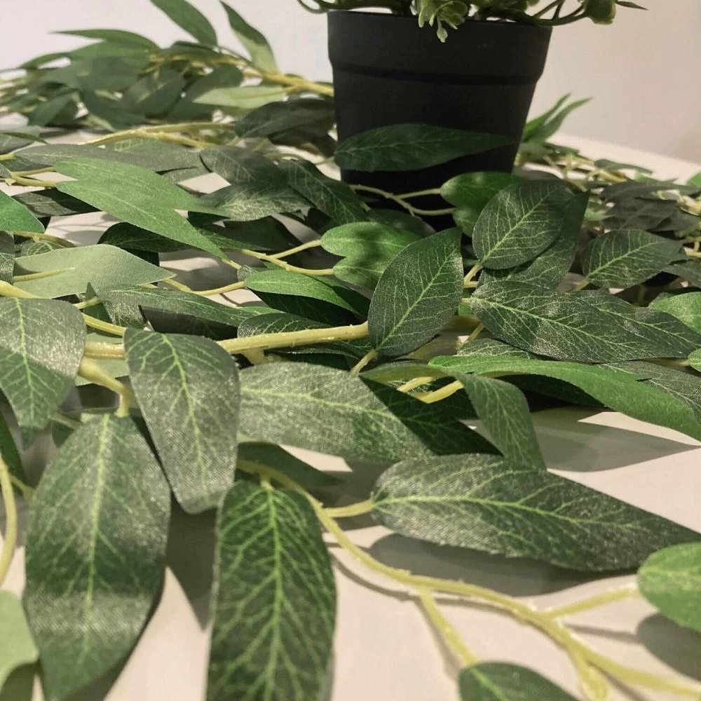 Лиана Оливка длина 190 см