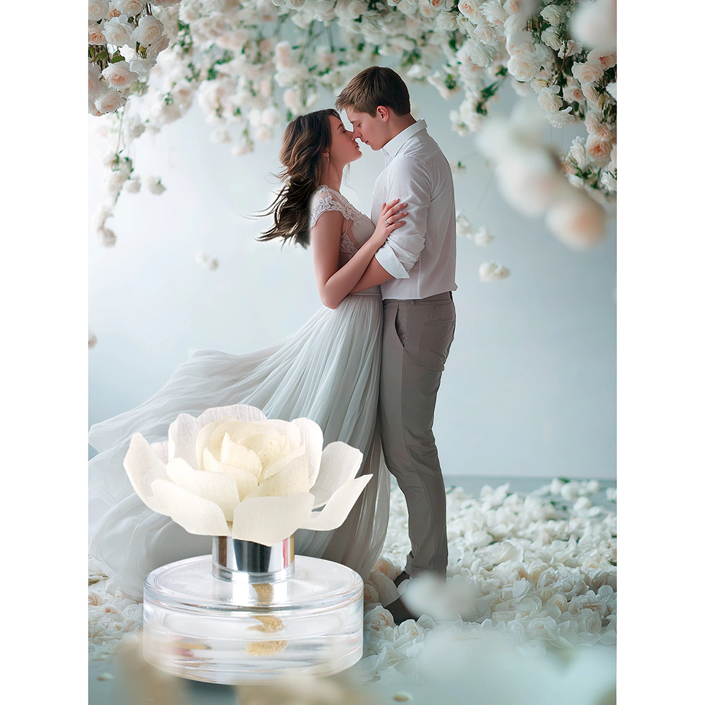 Аромадиффузор Breesal Fleur Шлейф волшебства 60 мл