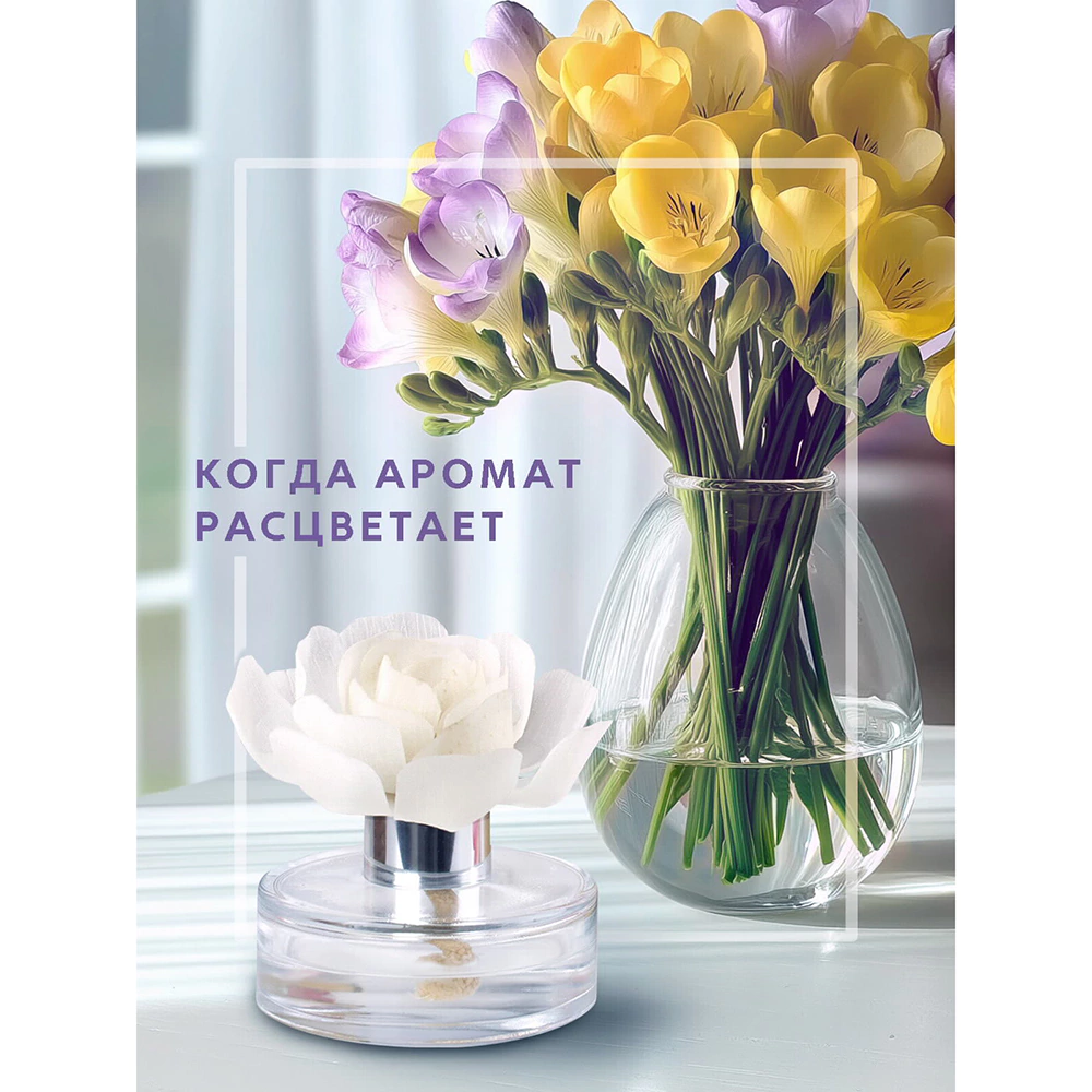 Аромадиффузор Breesal Fleur Мелодия чувств 60 мл