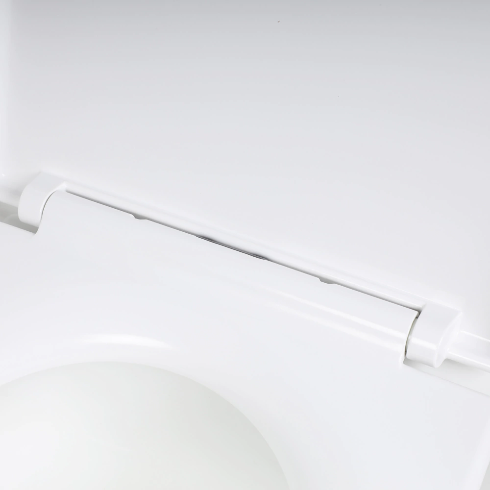 Инсталляция FLUMEN Caspian с унитазом, сиденьем, кнопкой белый