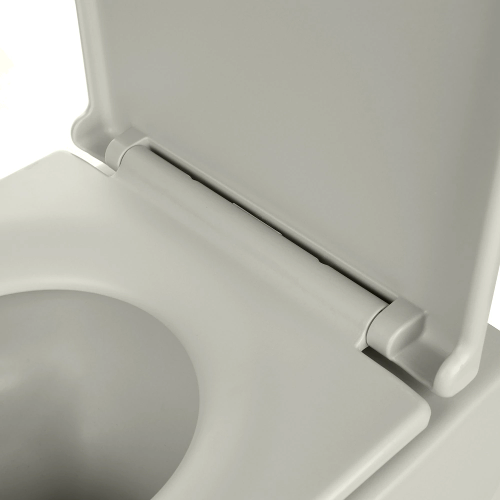 Унитаз подвесной FLUMEN DESIGN Ardennes Taupe безободковый с сиденьем с микролифтом бежевый