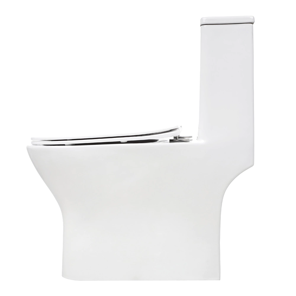 Унитаз-компакт FLUMEN DESIGN Rigi с сиденьем с микролифтом