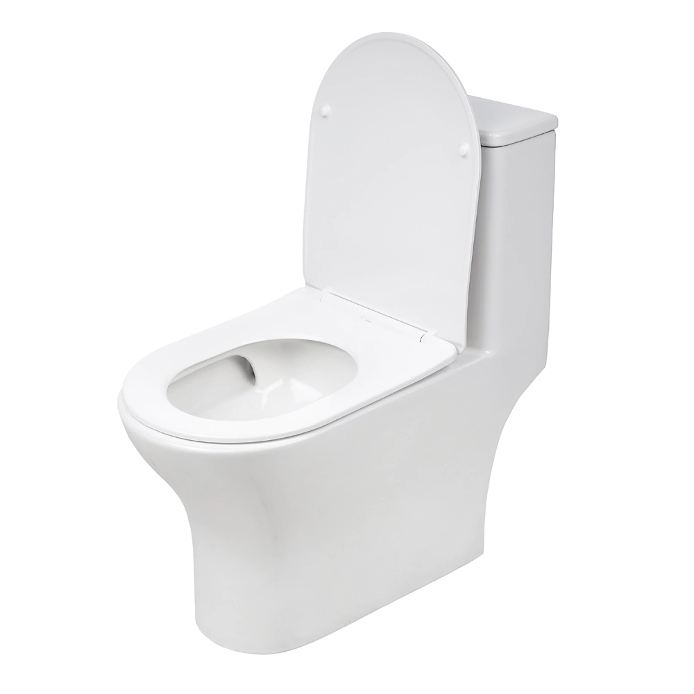 Унитаз-компакт FLUMEN DESIGN Rigi с сиденьем с микролифтом