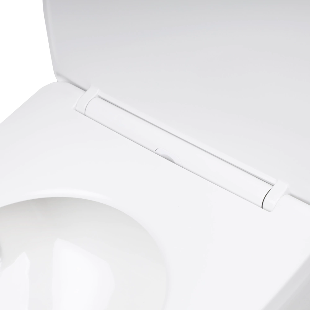 Унитаз-компакт FLUMEN DESIGN Rigi с сиденьем с микролифтом