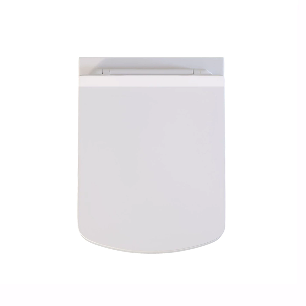 Унитаз подвесной SOLE Still безободковый с сиденьем с микролифтом