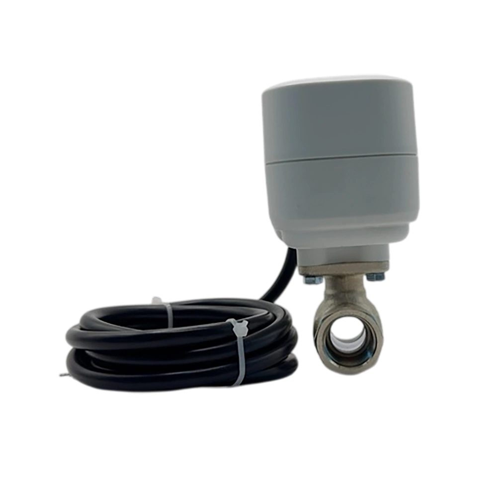 Кран с электроприводом 1/2' 12 В Neptun Standard