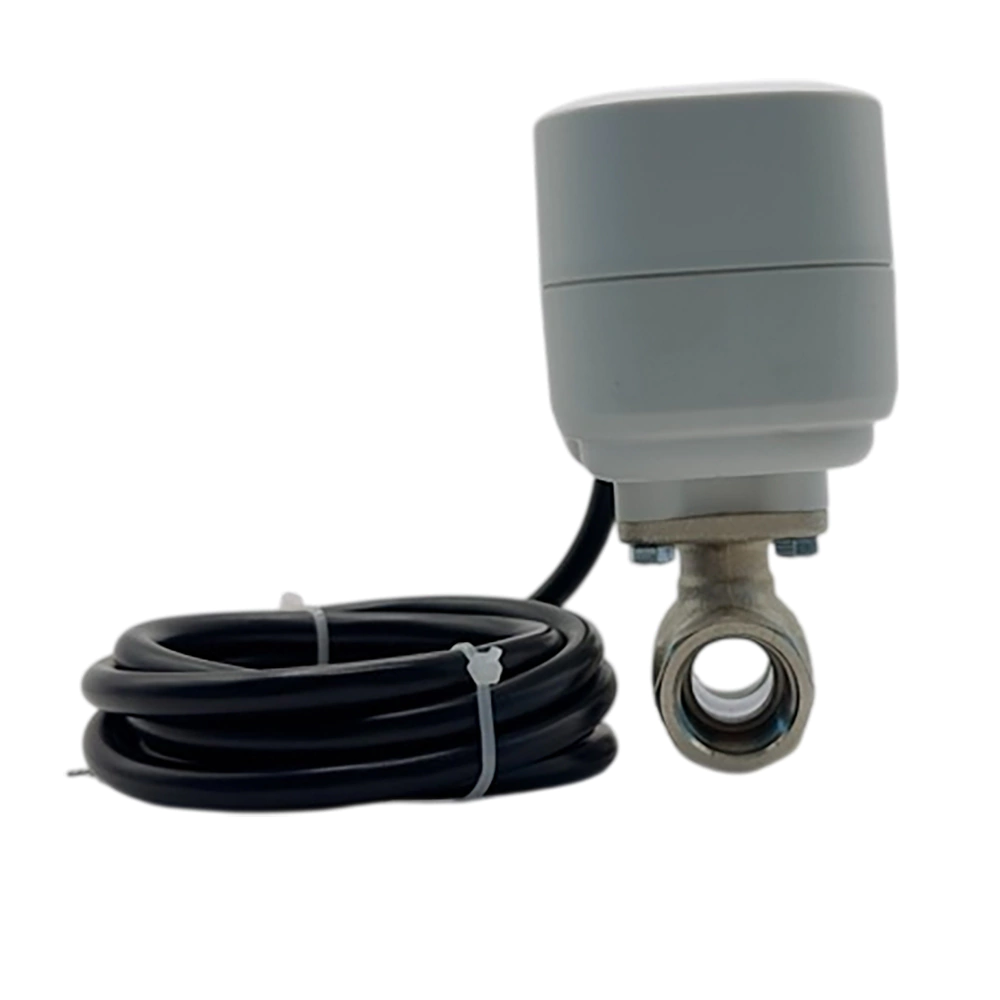 Кран с электроприводом 3/4' 12 В Neptun Standard