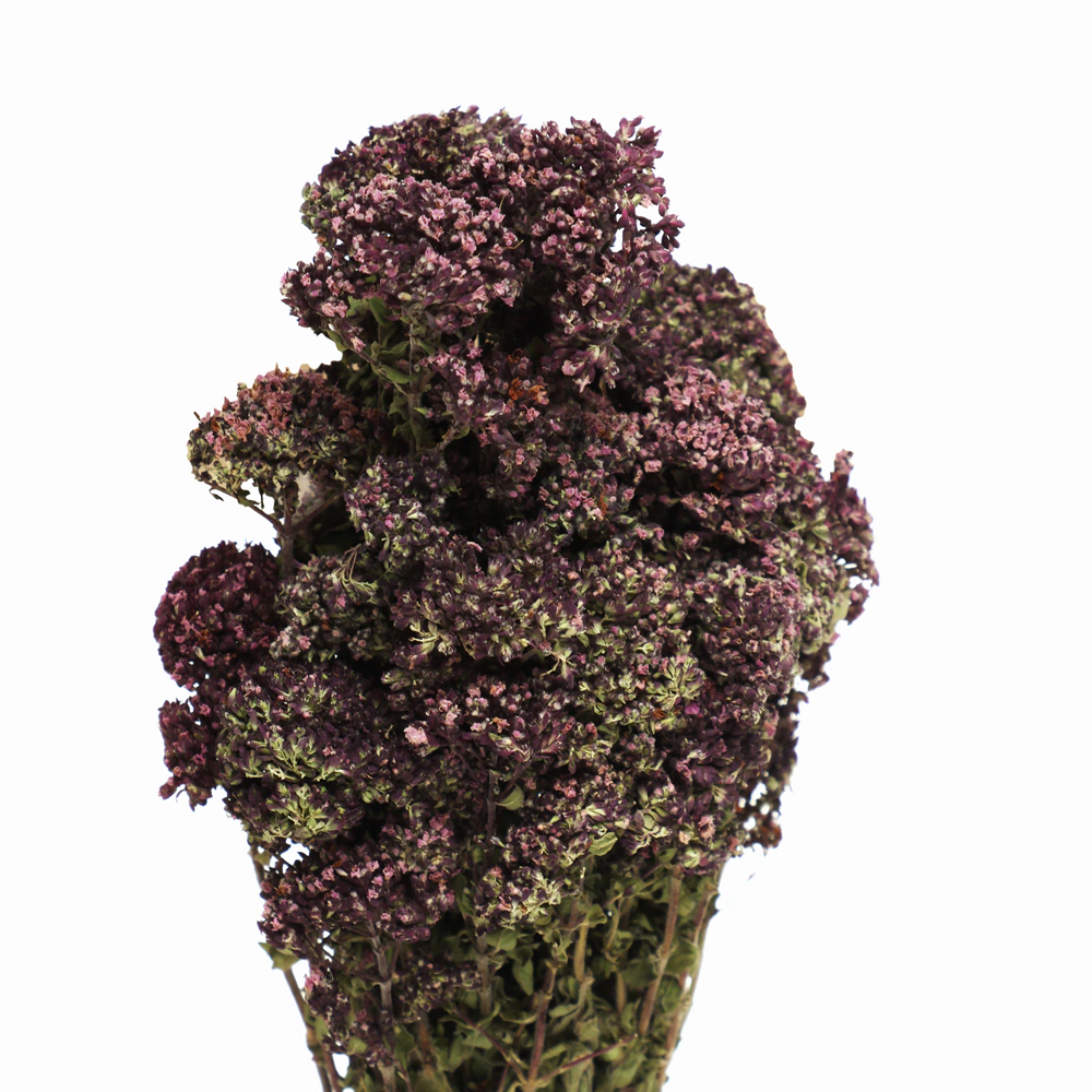 Сбор травяной Душица