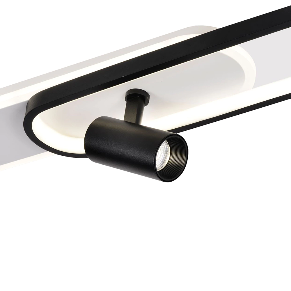 Светильник подвесной LED 74 Вт+6 Вт с пультом ДУ черный/белый Schaffner Трататто