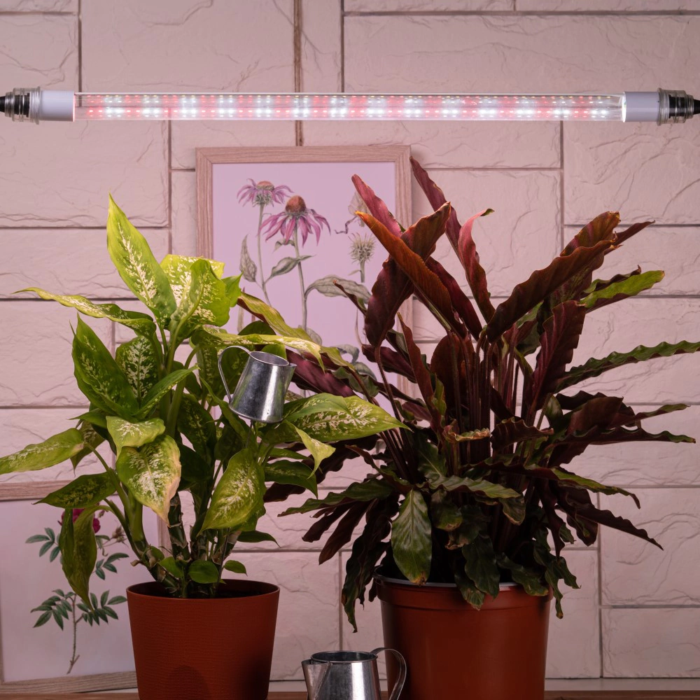 Фитолампа для растений Эра 18 Вт G13 LED полный спектр