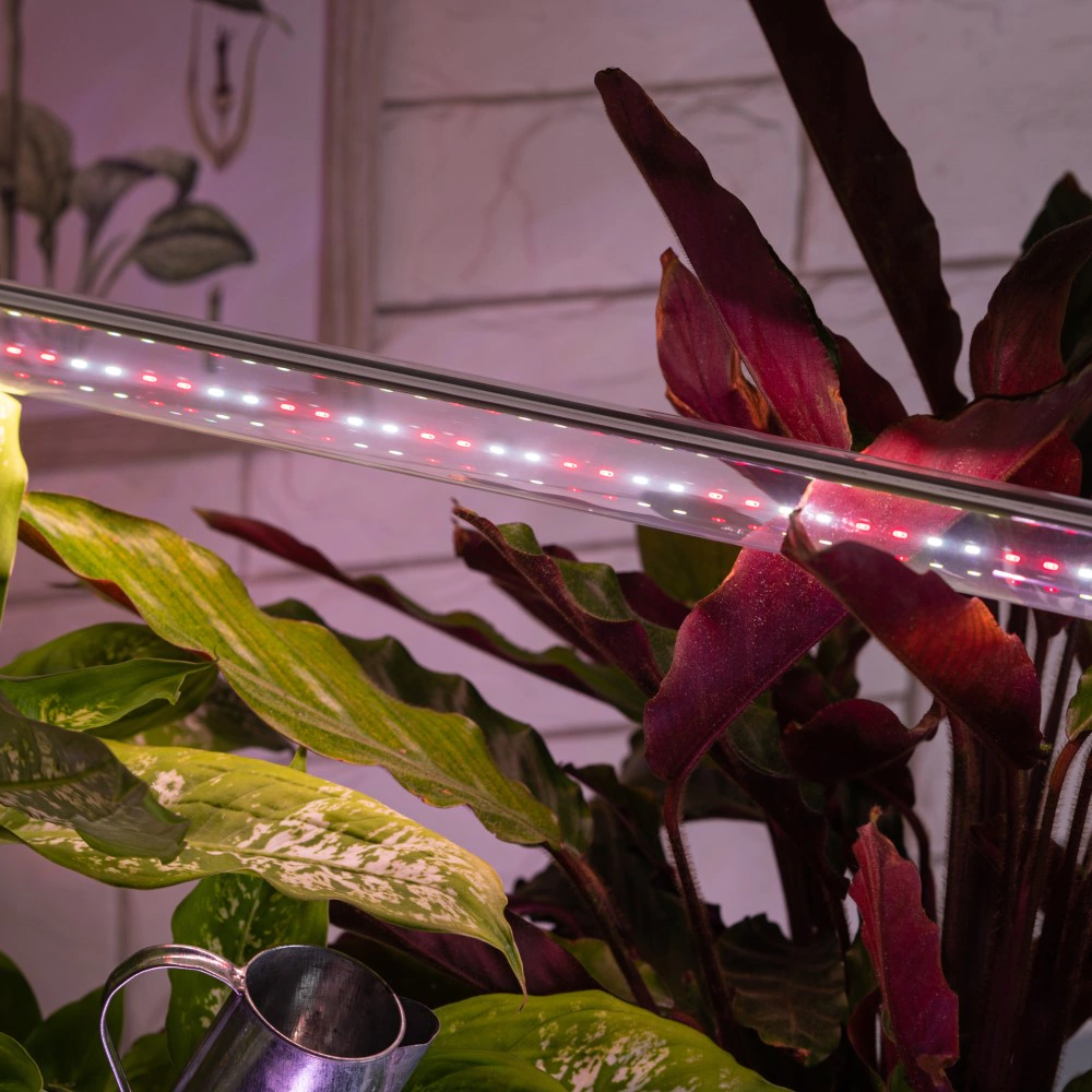 Фитолампа для растений Эра 18 Вт G13 LED полный спектр