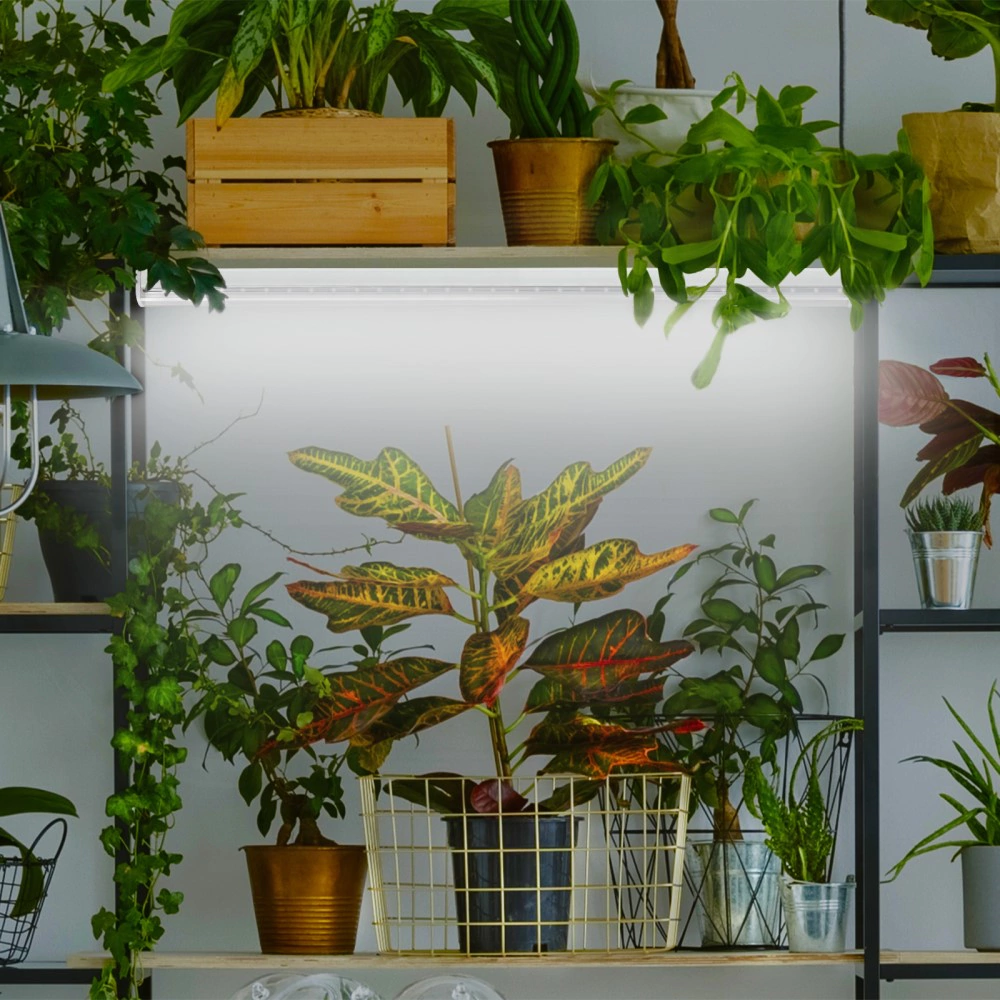 Фитолампа для растений Эра 18 Вт G13 LED полный спектр