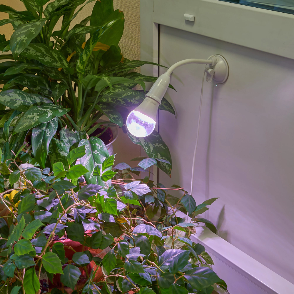 Светильник для фитолампы ФитоЛето на присоске с выключателем 1х60 Вт Е27