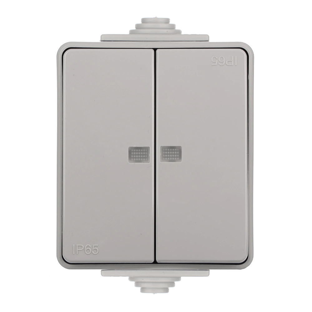 Выключатель двухклавишный Эра Эксперт с подсветкой серый