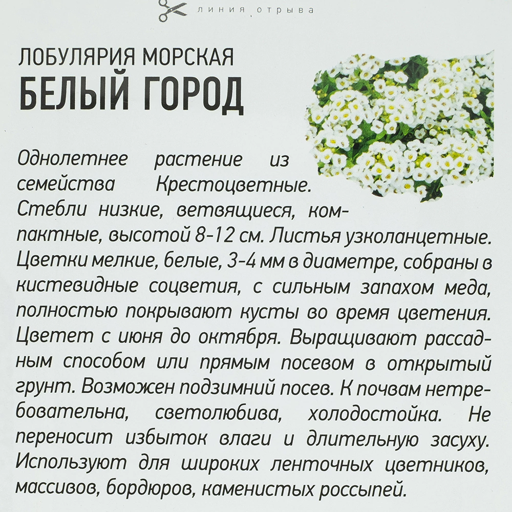 Лобулярия Белый город морская 0,05 г Удачные семена