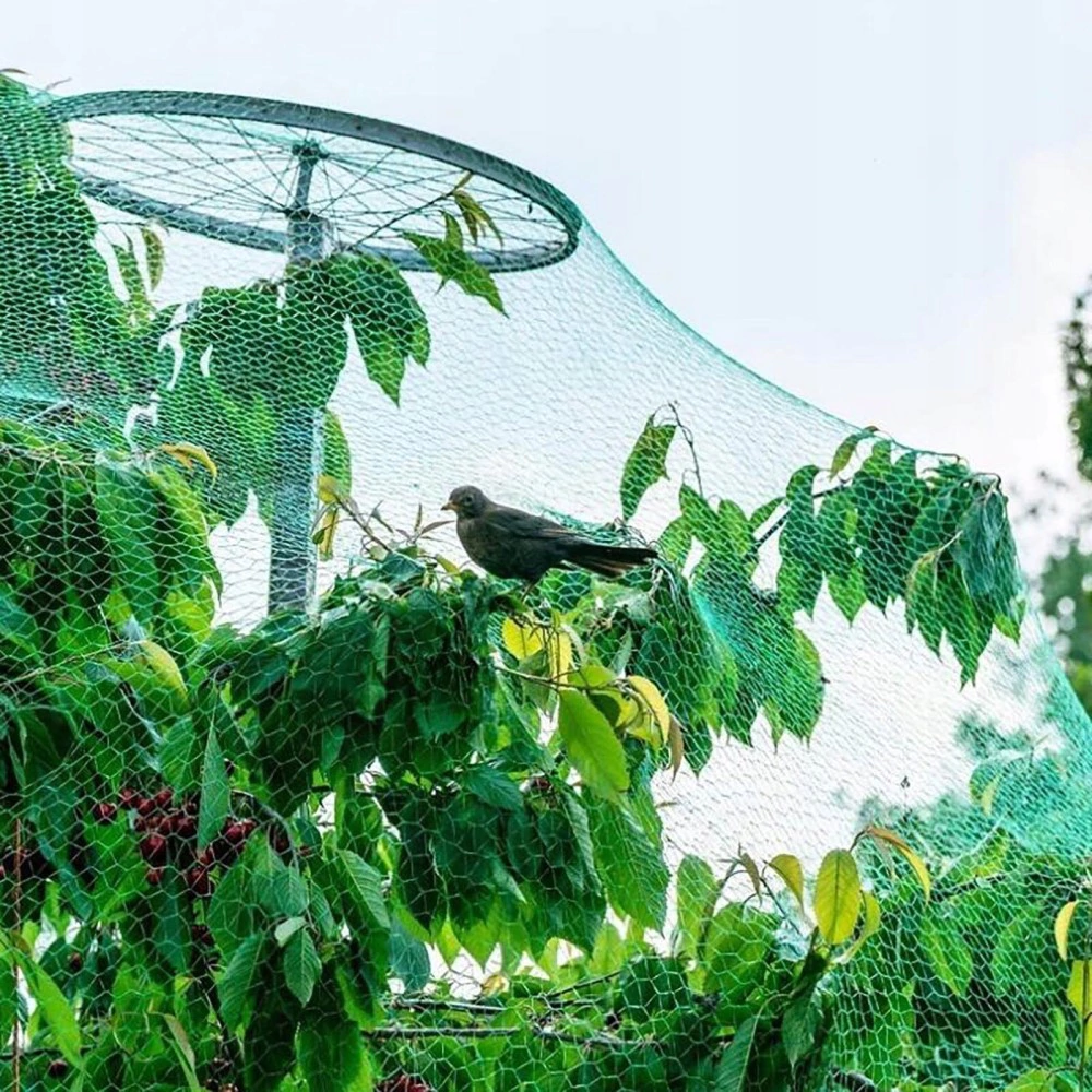 Сетка защитная от птиц 2х10 м