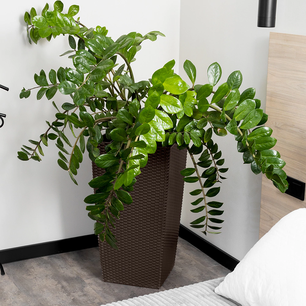 Уличный горшок пластиковый RATTAN OLA DOM коричневый 29х29х56 см 34 л со вставкой 14 л