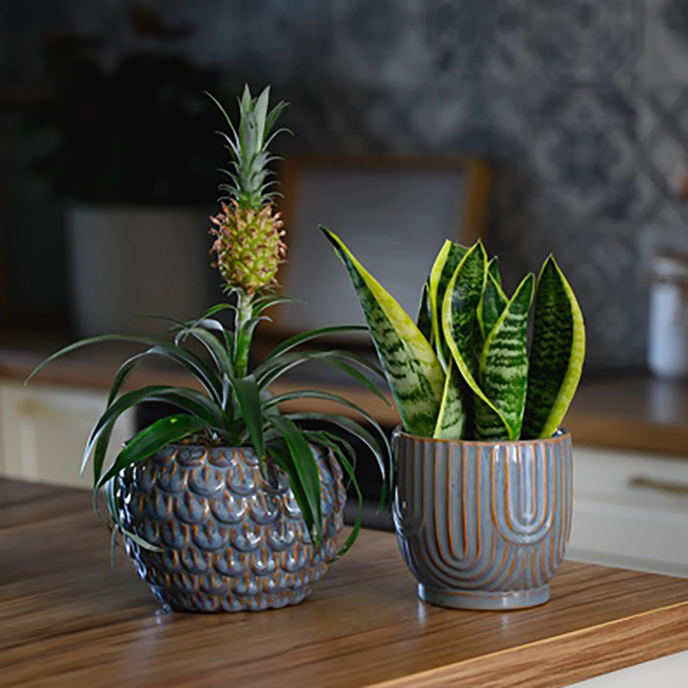 Кашпо керамическое Vintage голубое d14 см h13 см 1,5 л