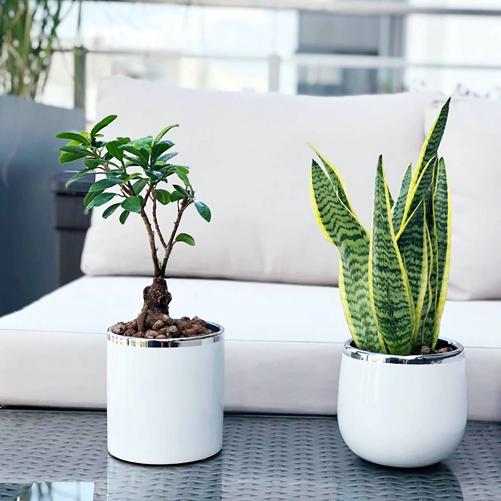 Кашпо керамическое Moon цилиндр белое с серебром d13 см h14 см 1,5 л