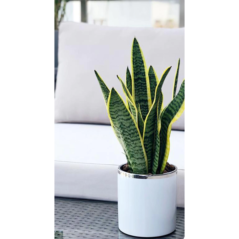 Кашпо керамическое Moon цилиндр белое с серебром d13 см h14 см 1,5 л