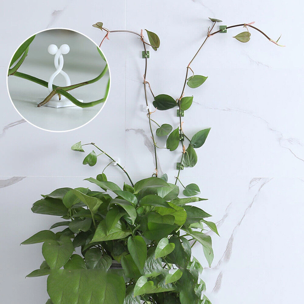 Клипса самоклеящаяся для поддержки растений 10 шт