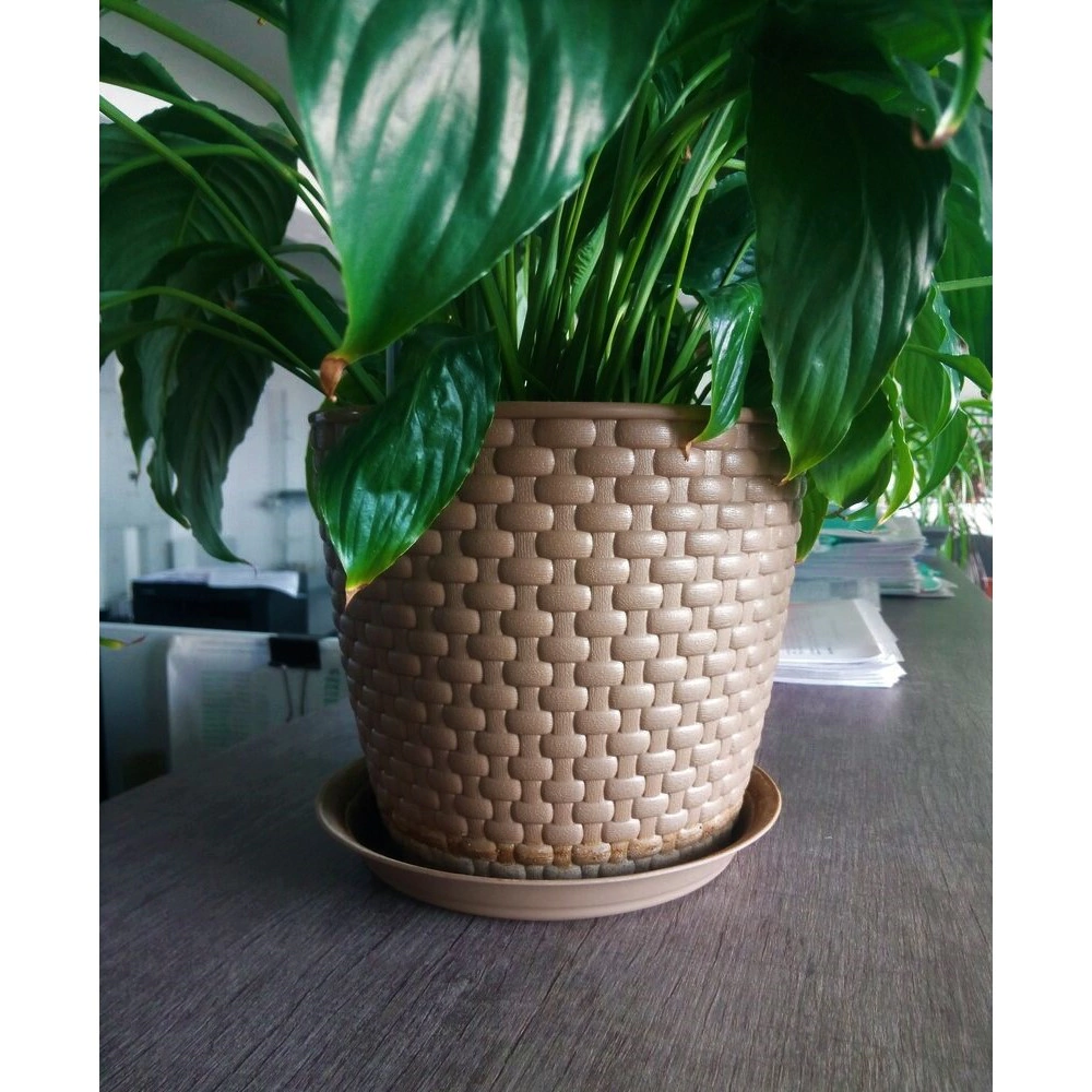 Кашпо пластиковое Ротанг бежевое d21 см h18,1 см 4,7 л