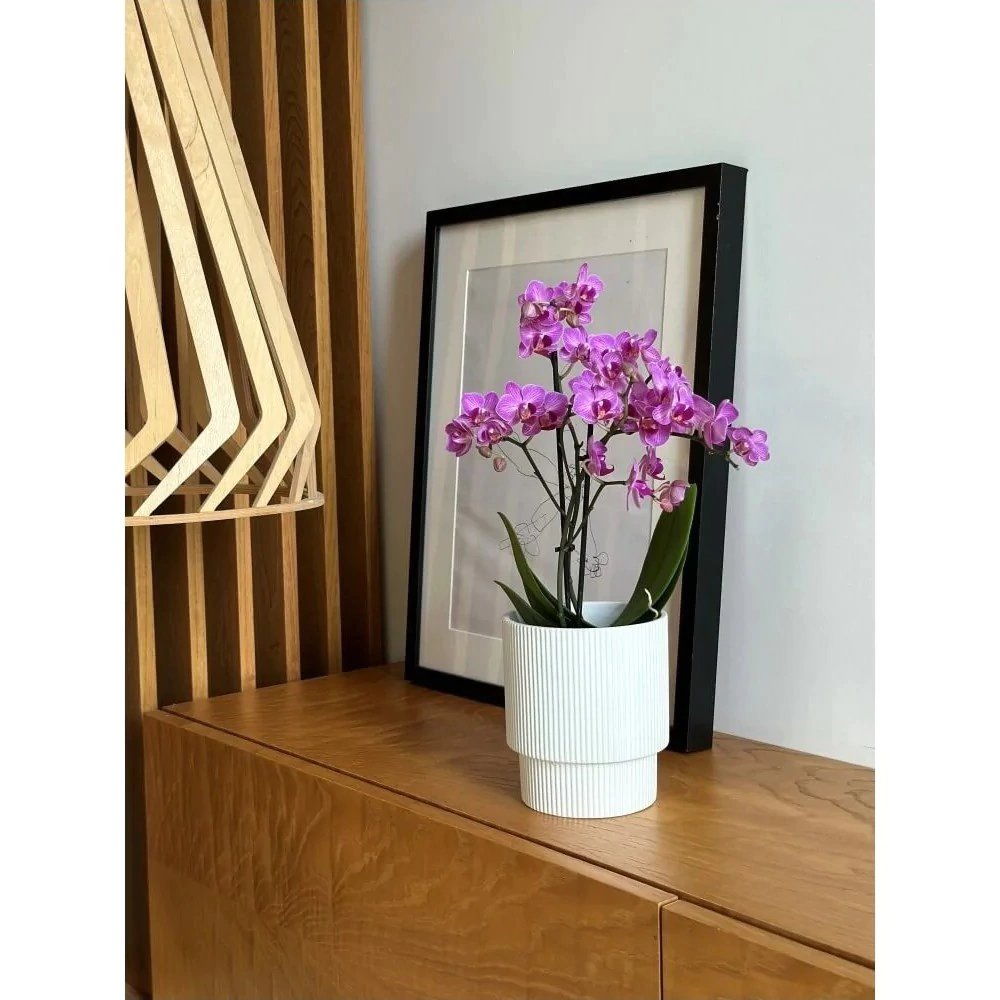 Кашпо керамическое d13 см h15 см 1,6 л белое Barcelona