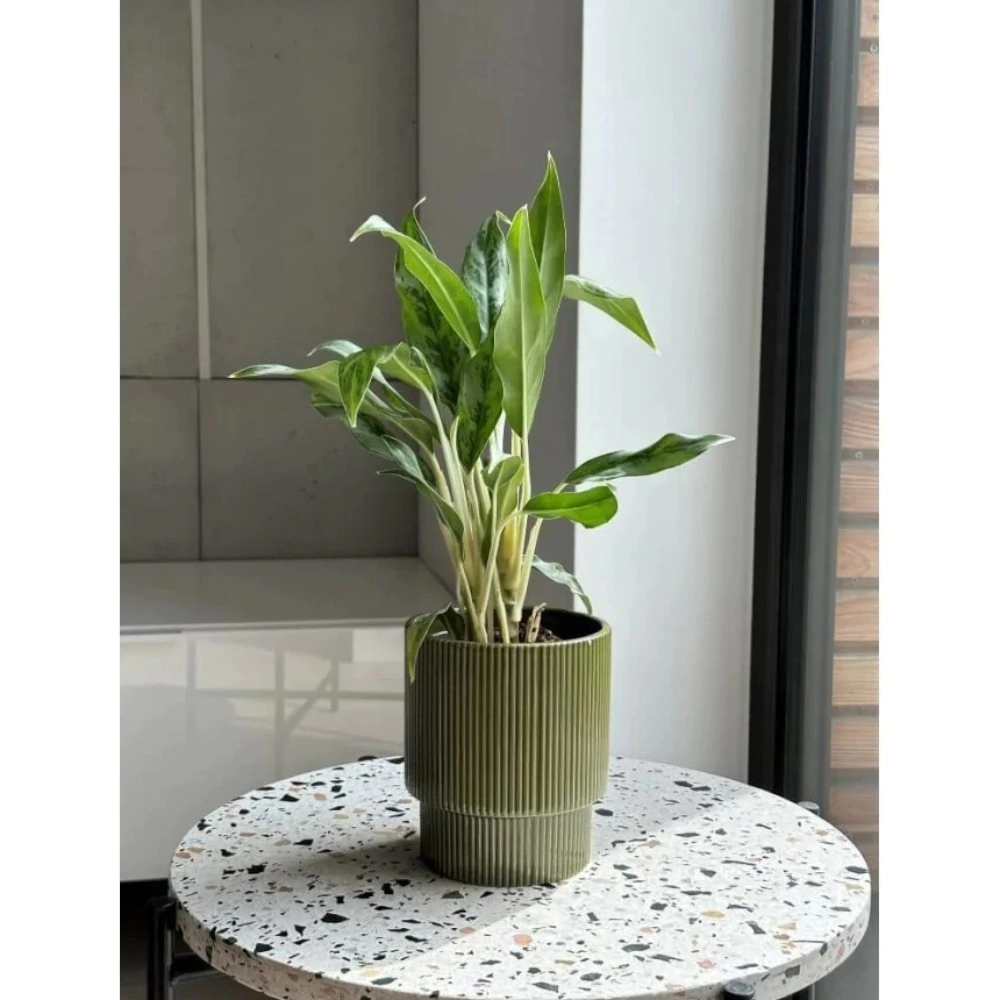 Кашпо керамическое d13 см h15 см 1,6 л зеленое Barcelona