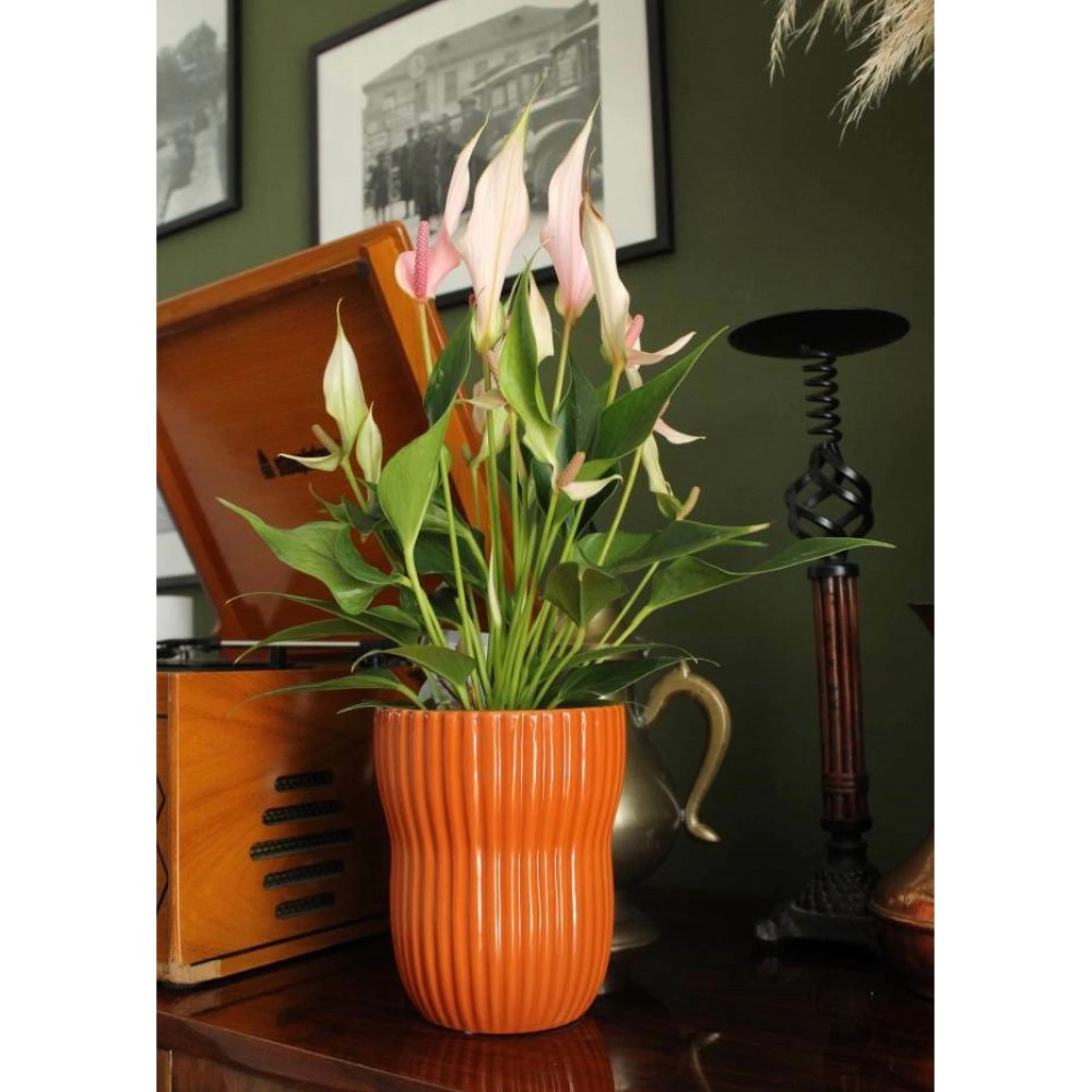 Кашпо керамическое d13 см h16 см 1,9 л оранжевое Barcelona