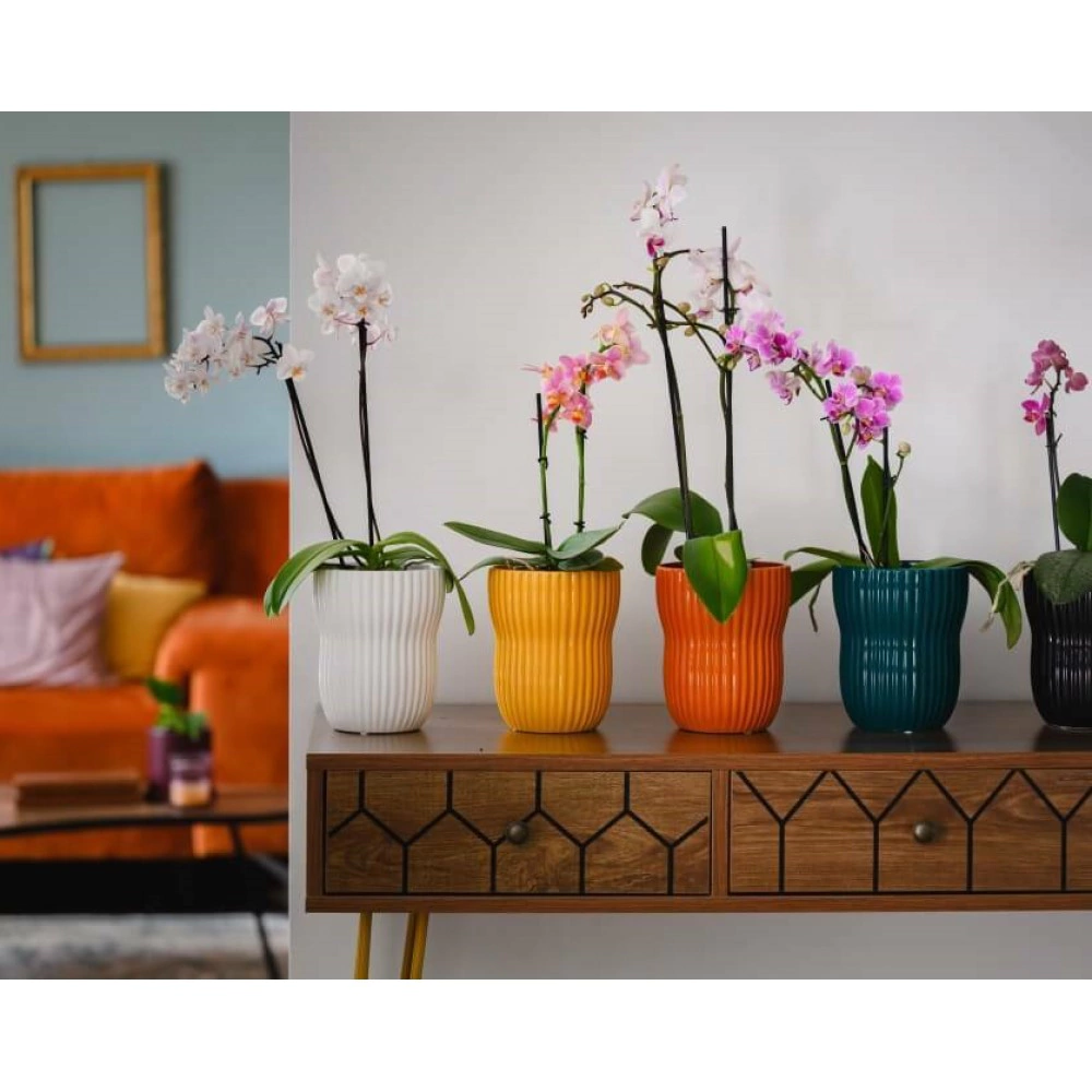 Кашпо керамическое d13 см h16 см 1,9 л оранжевое Barcelona