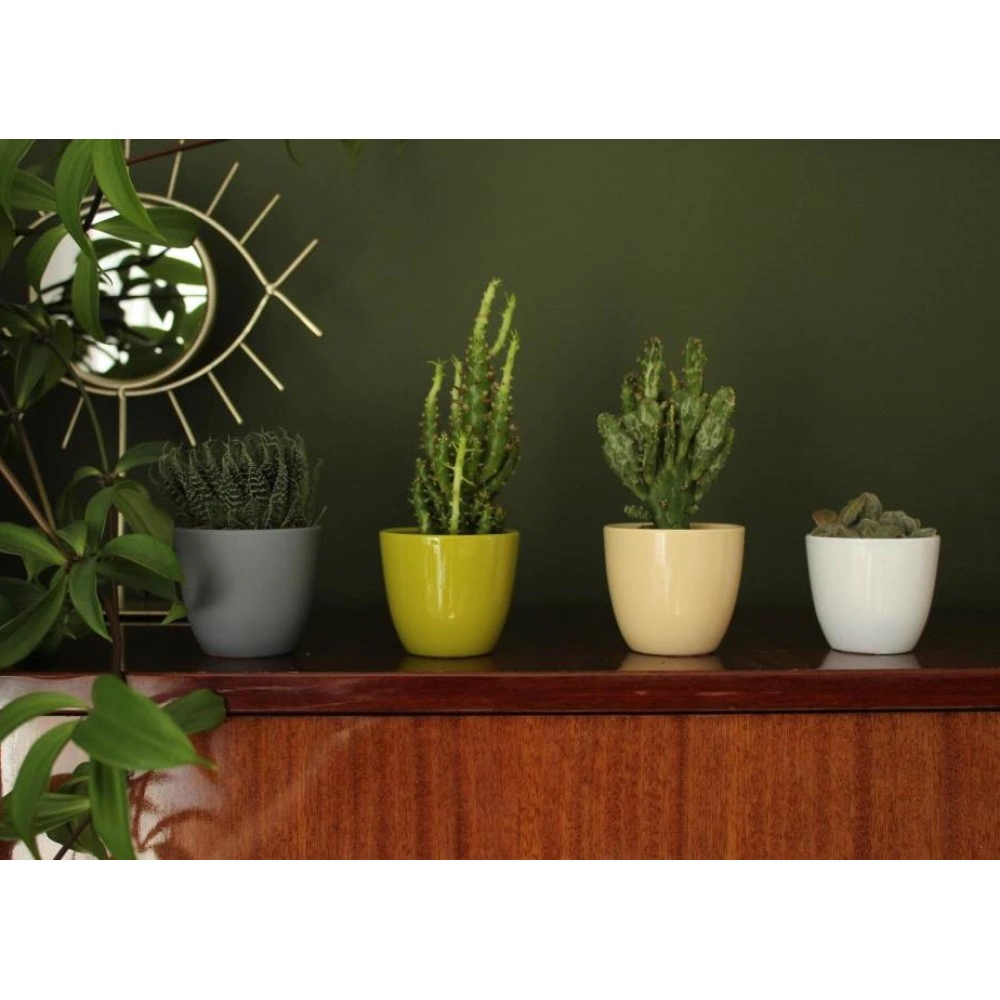 Кашпо керамическое d7 см h6 см 0,2 л кремовое Basic Cactus