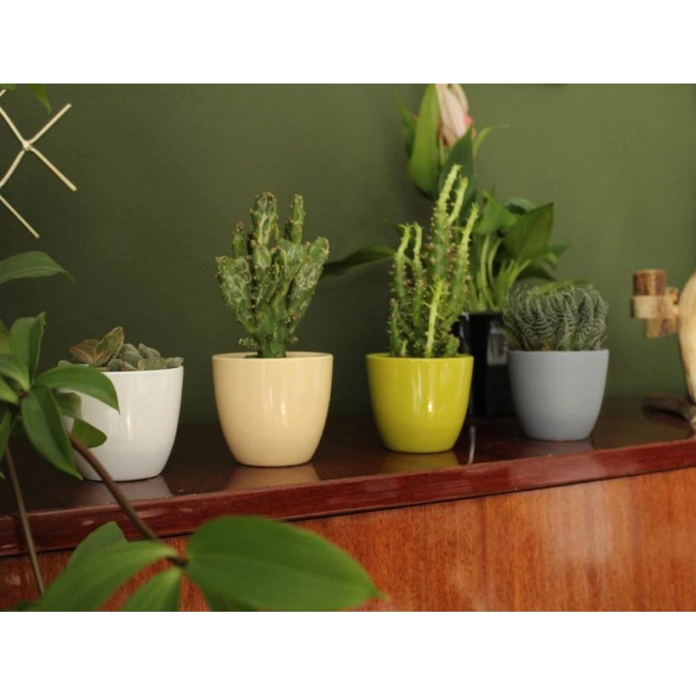 Кашпо керамическое d7 см h6 см 0,2 л серое матовое Basic Cactus