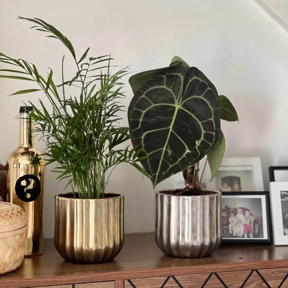 Кашпо керамическое d14 см h13 см 1,4 л серебро Rustic