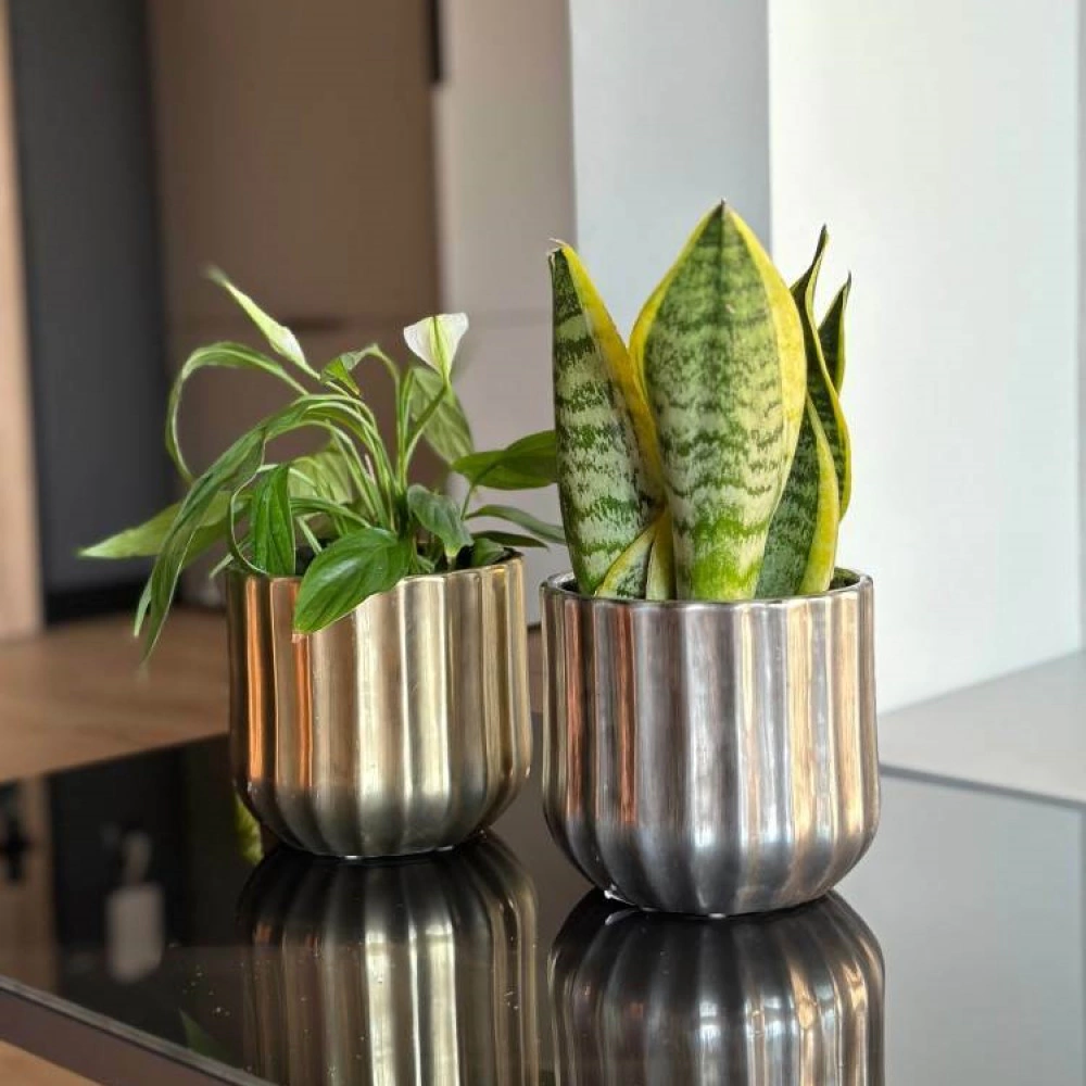 Кашпо керамическое d14 см h13 см 1,4 л золото Rustic