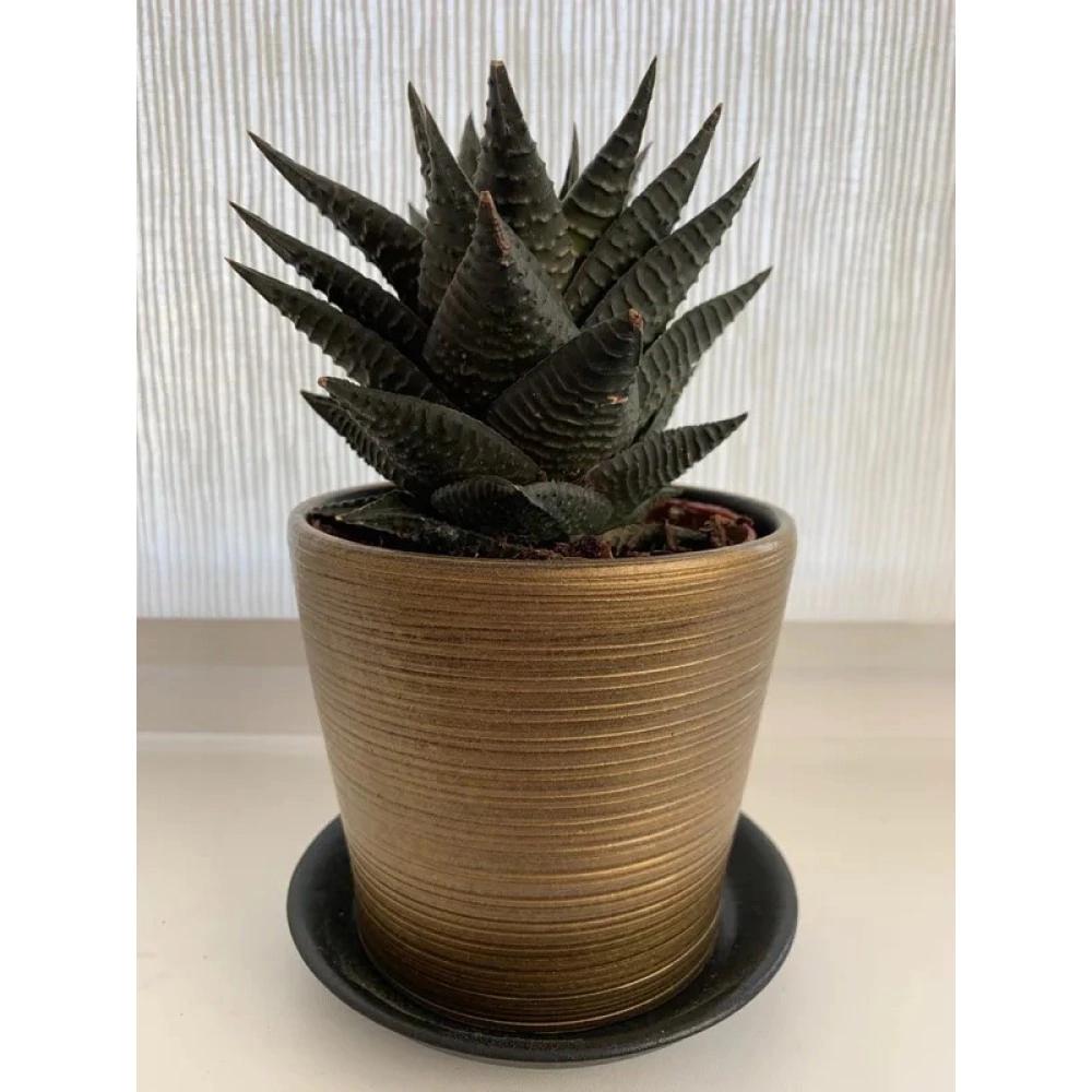 Горшок керамический Конус бронзовый d11 см h12 см 0,5 л